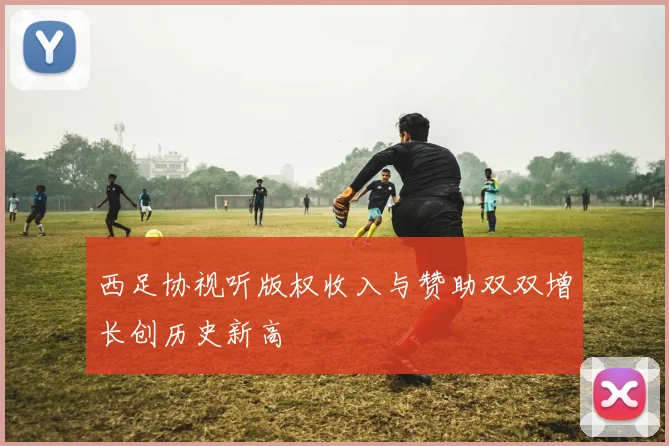 西足协视听版权收入与赞助双双增长创历史新高